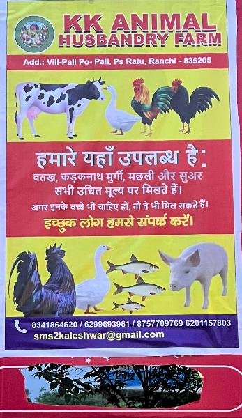 KK Animal Husbandry Farm Ranchi 8210059614