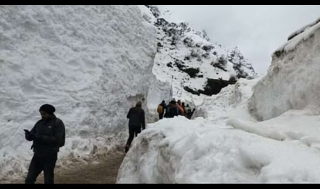 Bharat yatra Travel Choice
