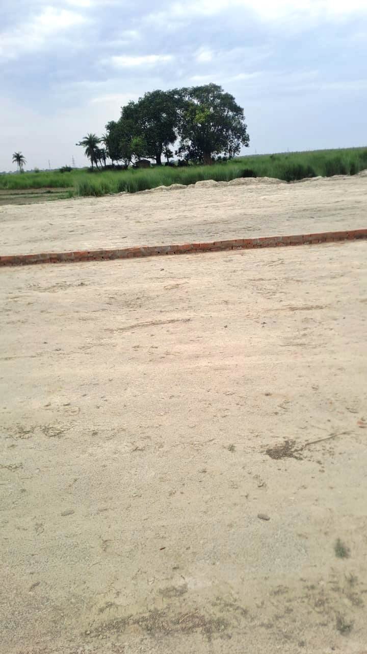 Abhay Kumar Green Park Bettiah 8252938183